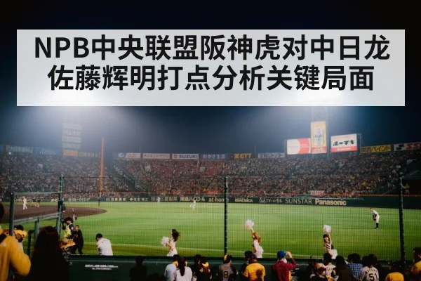 japanese baseball stadium night